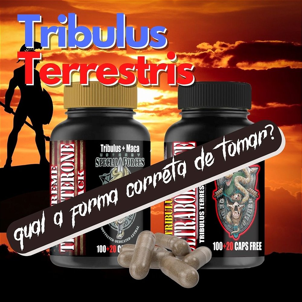 Tribulus Terrestris qual a maneira correta